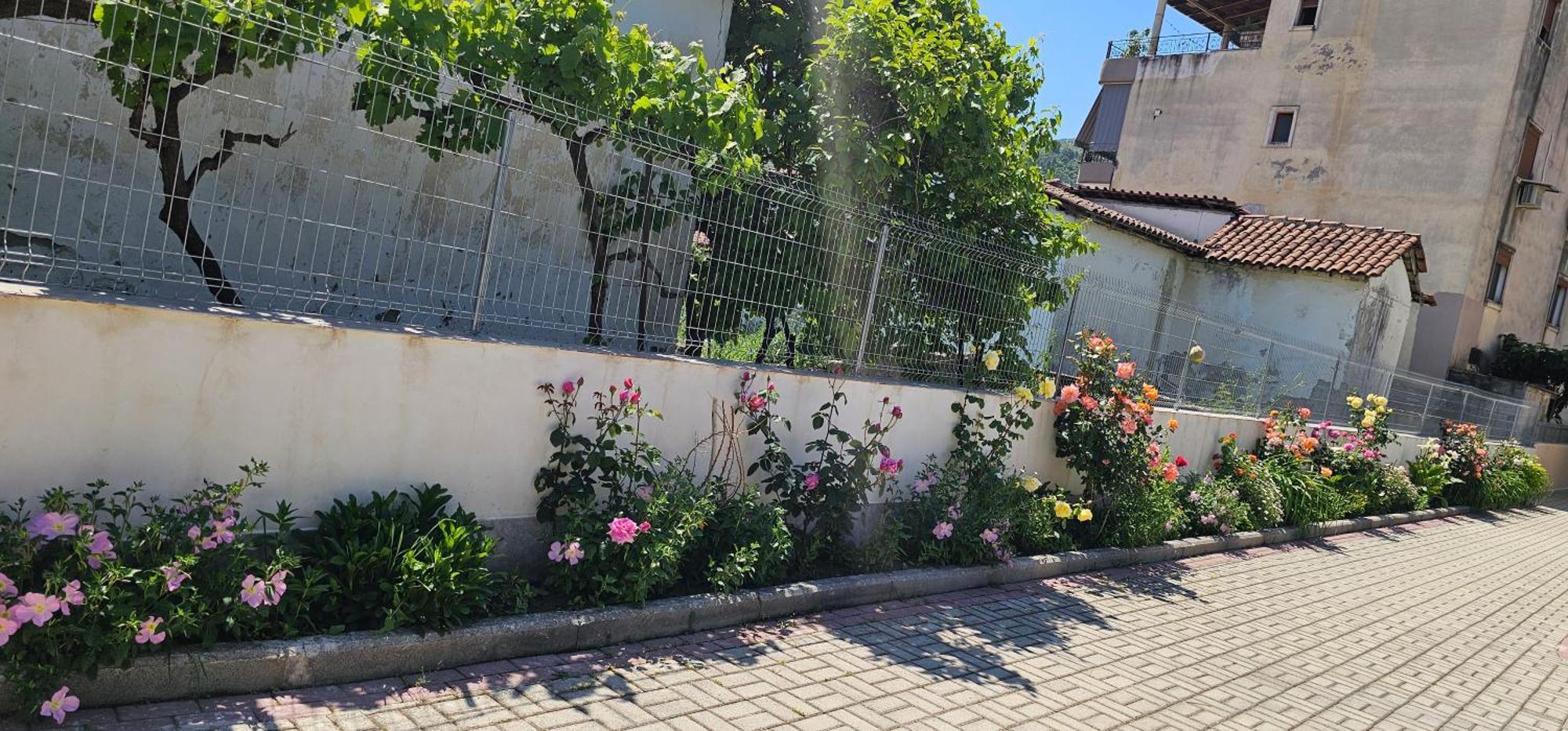 Aliaj Guest House Берат Екстер'єр фото